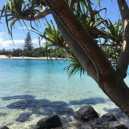 The Deck At Burleigh Heads